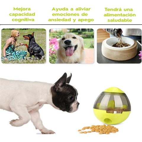 Bola de Golosinas: ¡Cuida la Salud y el Bienestar de tu Mascota con Diversión!