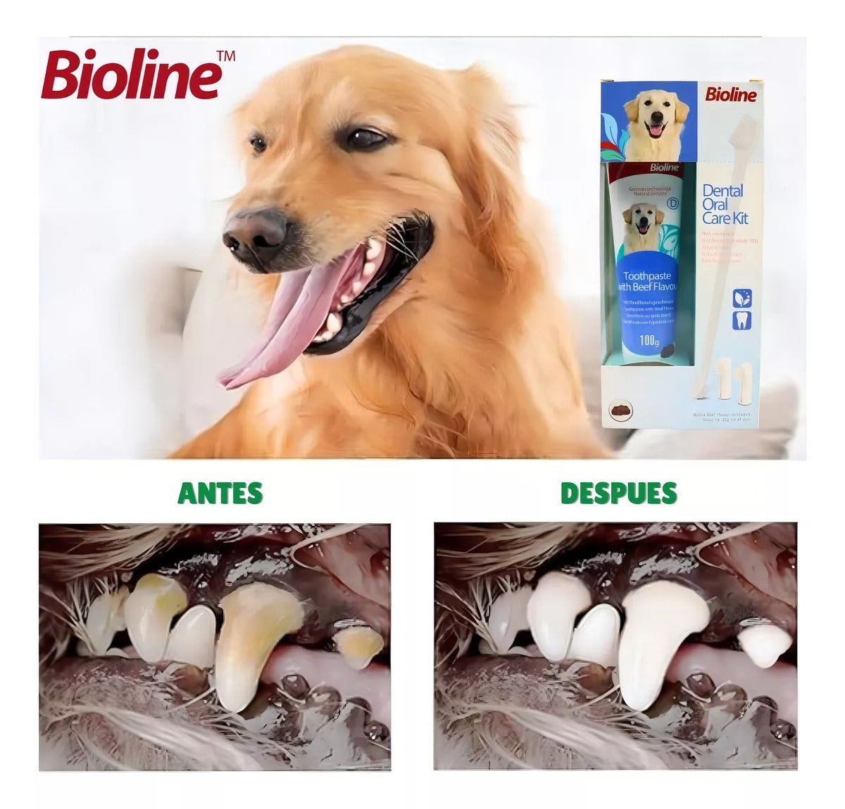 Cuidado dental fácil y delicioso: Set para perros Bio Line.