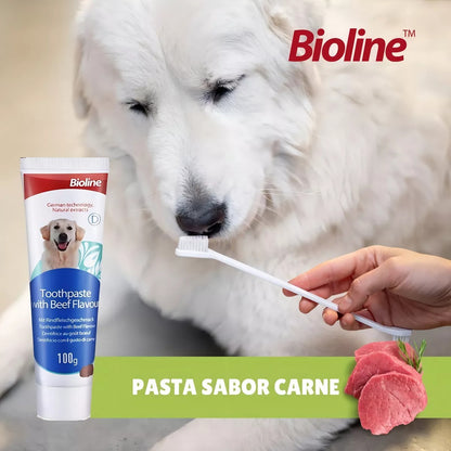 Cuidado dental fácil y delicioso: Set para perros Bio Line.